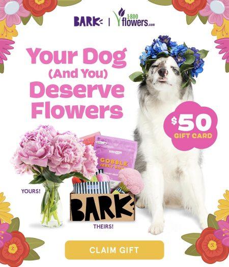 Read more about the article Barkbox – FREE $50 Gift Card to 1-800-Flowers.com