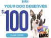 BarkBox Coupon Code: $100 FREE BarkShop Credit