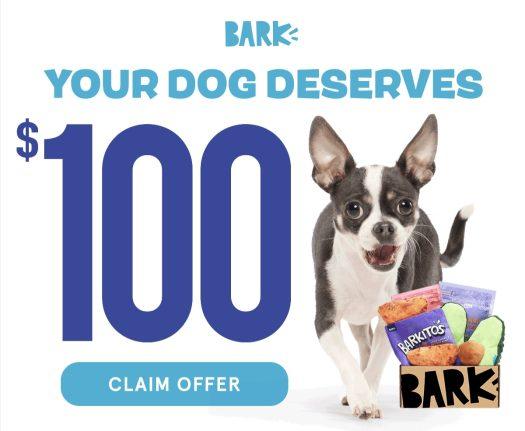 Read more about the article BarkBox Coupon Code: $100 FREE BarkShop Credit