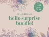 Erin Condren Spring 2024 Seasonal Surprise Box – Now Available