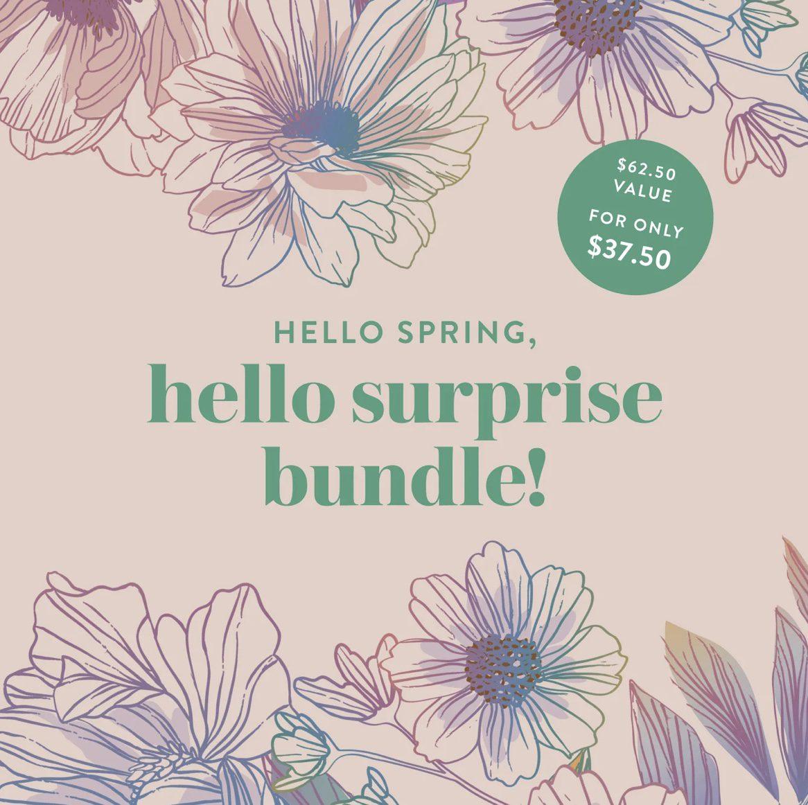 Read more about the article Erin Condren Spring 2024 Seasonal Surprise Box – Now Available