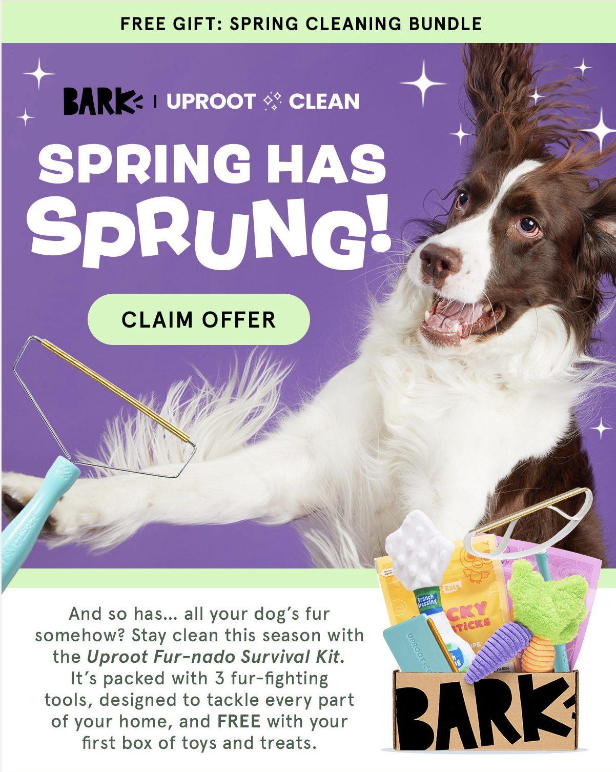 Read more about the article Barkbox FREE Spring Cleaning Bundle with a new 6-Month Subscription!
