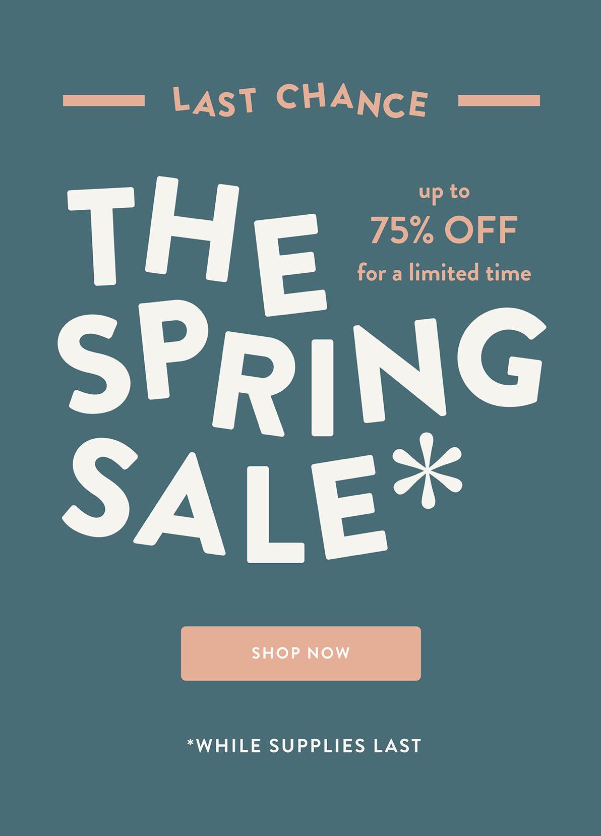 Read more about the article Erin Condren Spring Sale – Save Up to 75% Off Surprise Bundles!!