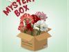 Bloomaker Mystery Box – Now Available