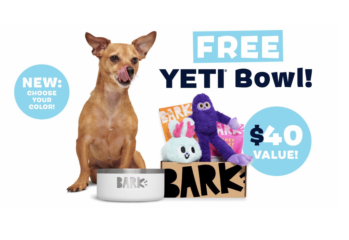 Read more about the article BarkBox Coupon Code: FREE Yeti Dog Bowl (Your Choice of Color)