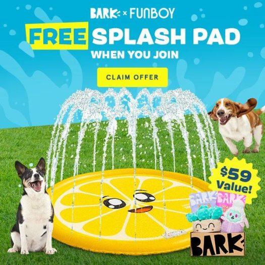 Read more about the article BarkBox Coupon Code: Free FUNBOY Splash Pad!