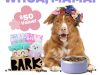 BarkBox Coupon Code: FREE Lilac Yeti Dog Bowl