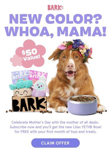 Read more about the article BarkBox Coupon Code: FREE Lilac Yeti Dog Bowl