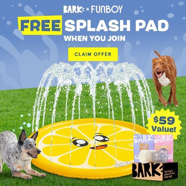 Read more about the article Super Chewer by BarkBox Coupon Code – FREE Funboy Splash Pad