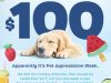 BarkBox Coupon Code: $100 FREE BarkShop Credit