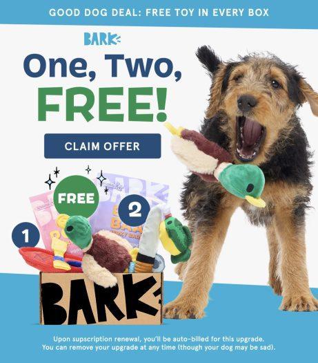 Read more about the article BarkBox Coupon Code: FREE Extra Toy in Every Box