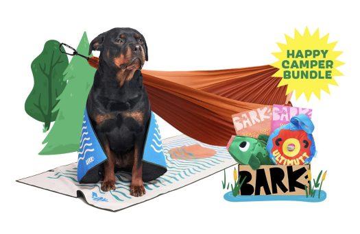 Read more about the article BarkBox Coupon Code: FREE Happy Camper Bundle
