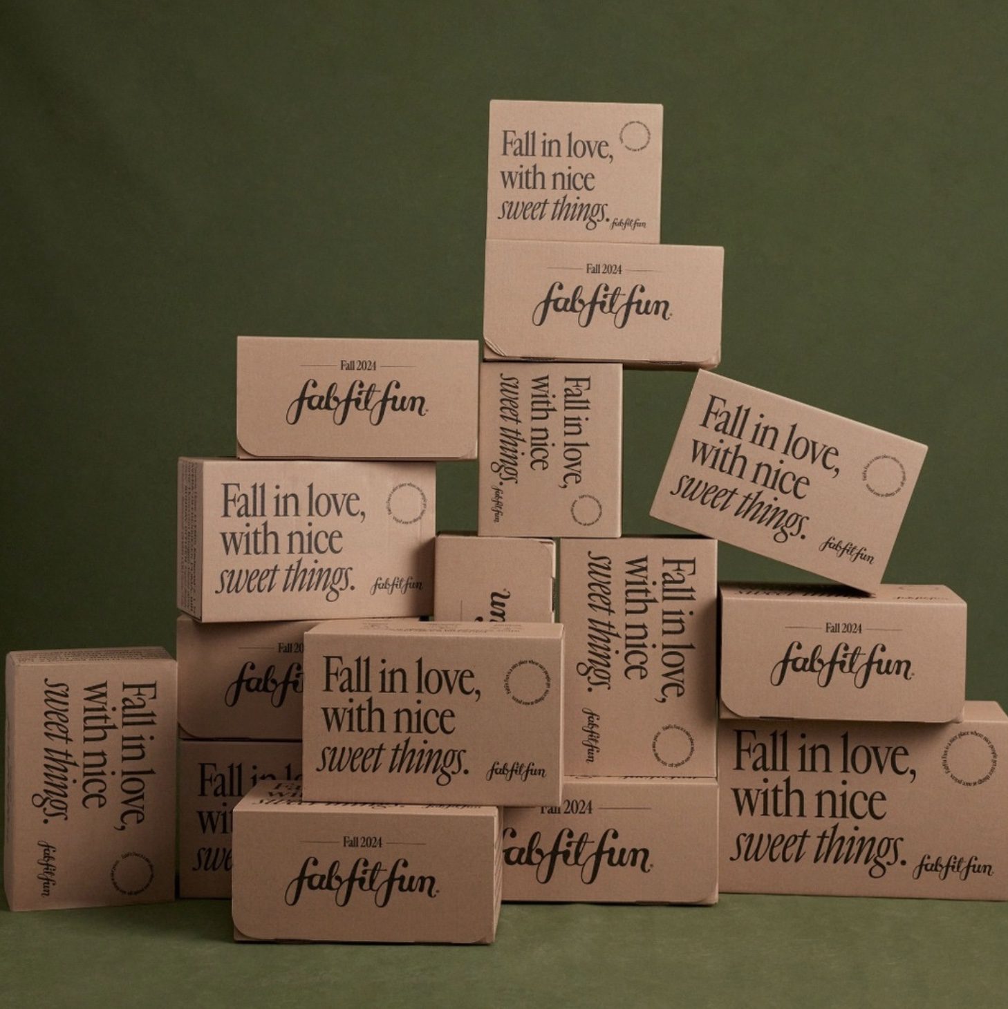 Read more about the article FabFitFun Fall 2024 Box Spoilers – Round #2