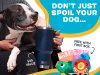 BarkBox Coupon Code: FREE Yeti 42oz Rambler Straw Mug