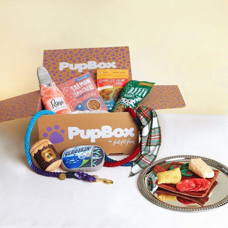 Read more about the article New Box Alert: PupBox by FabFitFun