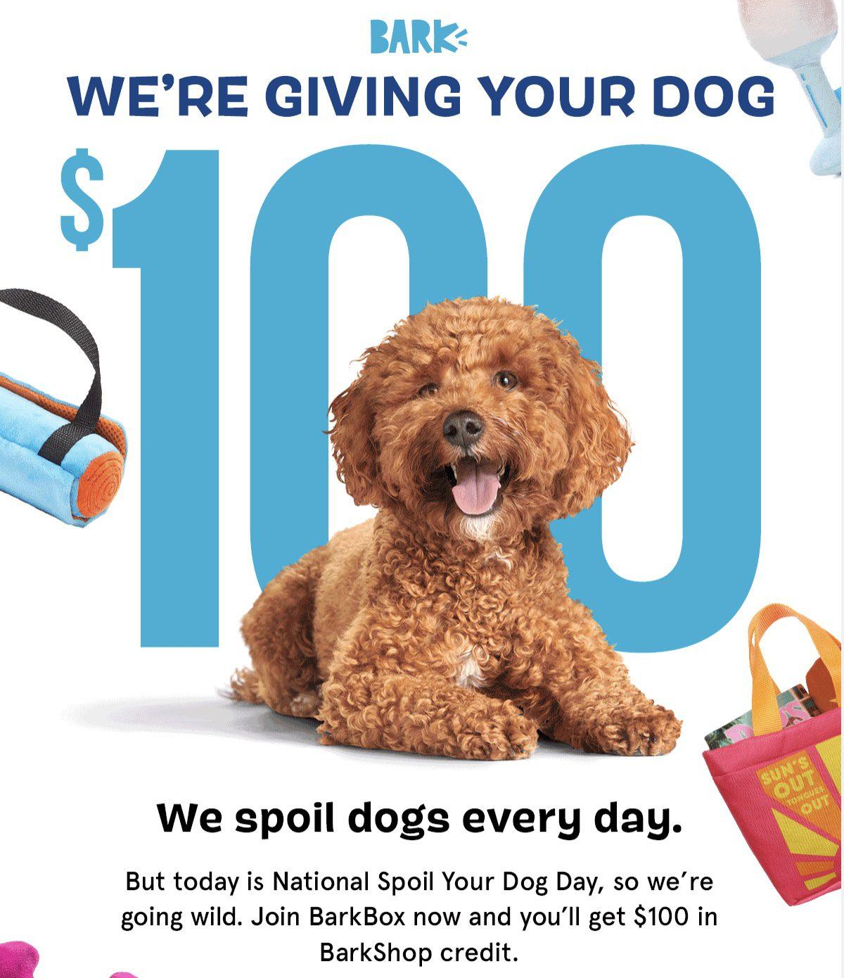 Read more about the article BarkBox Coupon Code: $100 FREE BarkShop Credit