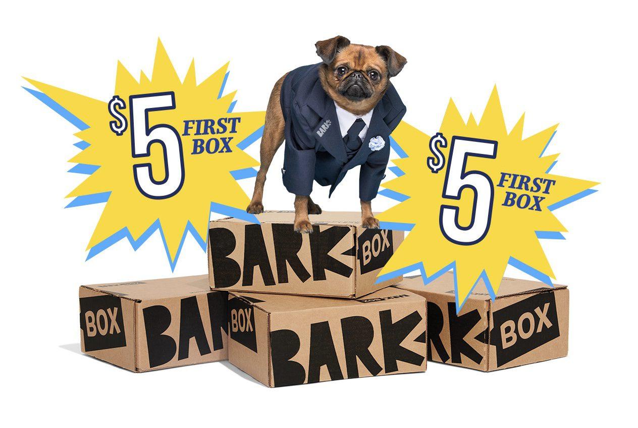 Read more about the article BarkBox National Day Day Coupon Code – First Box for $5