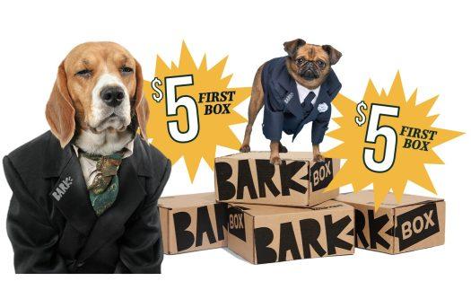 Read more about the article BarkBox Super Chewer Coupon Code – First Box for $5!