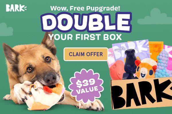 Read more about the article BarkBox Super Chewer Coupon Code – Double Your First Box FREE!