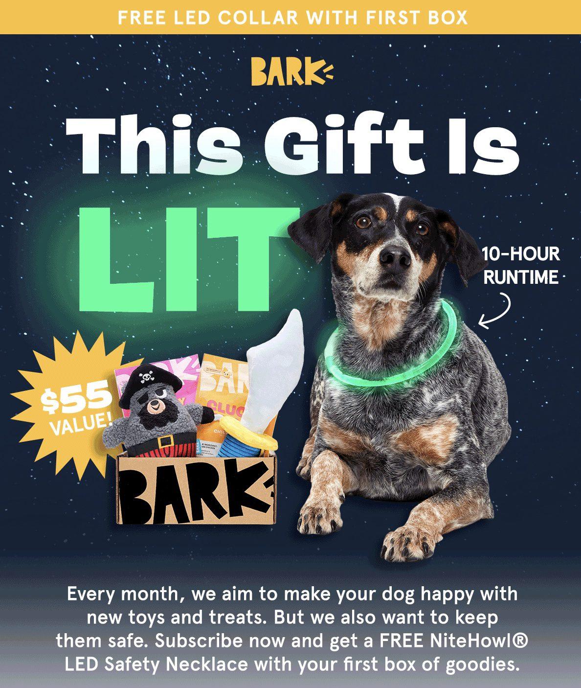 Read more about the article Barkbox FREE LED Necklace with Multi-Month Subscription!