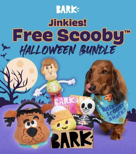 Read more about the article BarkBox Coupon Code: FREE Scooby Halloween Bundle