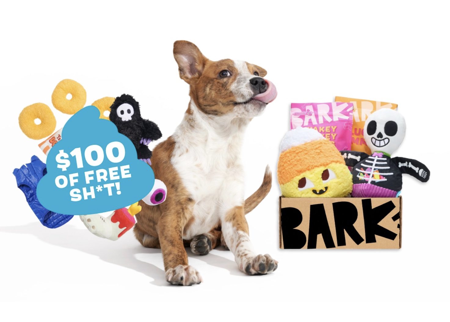 Read more about the article BarkBox Coupon Code: $100 FREE BarkShop Credit