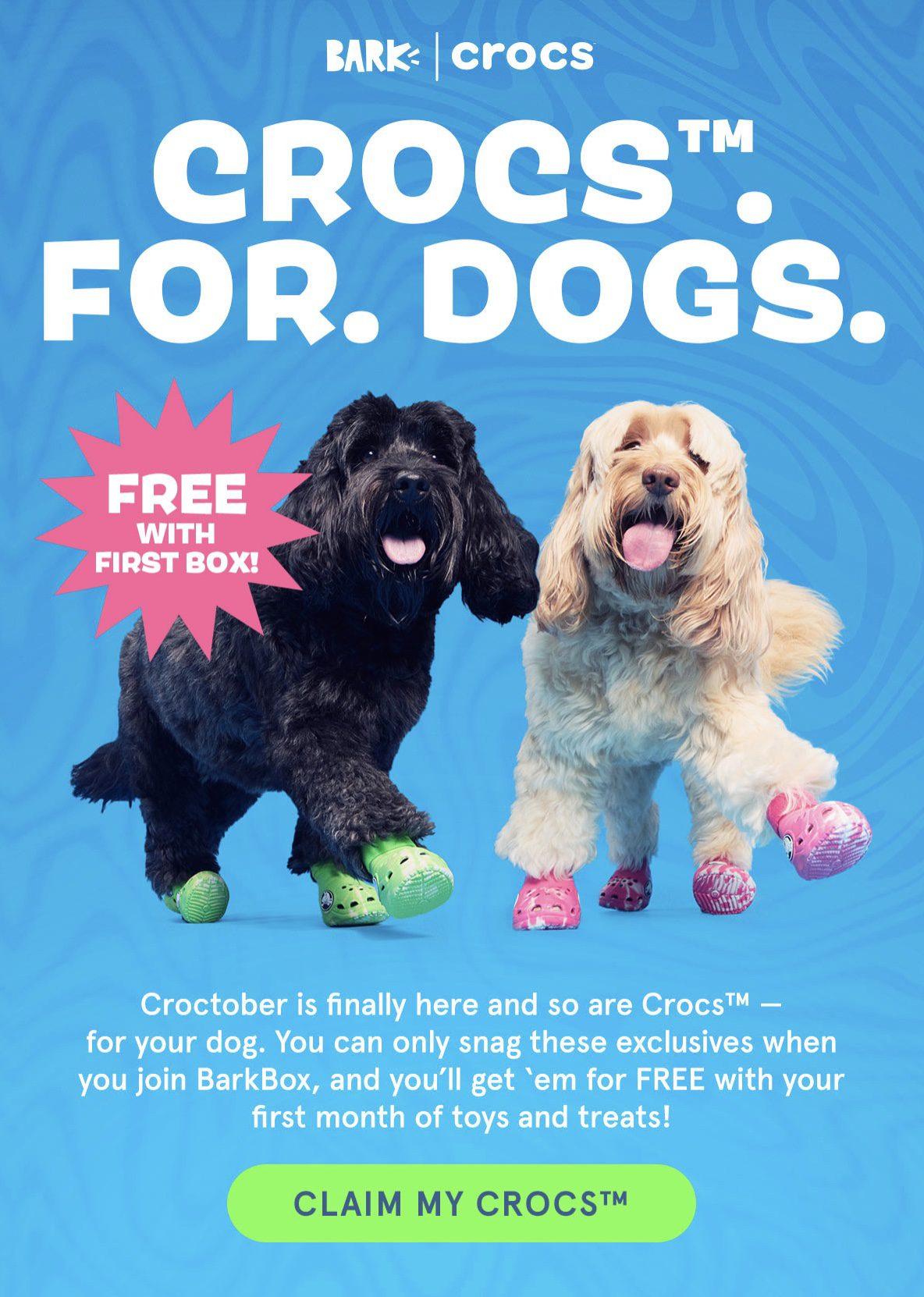 Read more about the article Barkbox FREE Crocs for your Dog with Multi-Month Subscription!