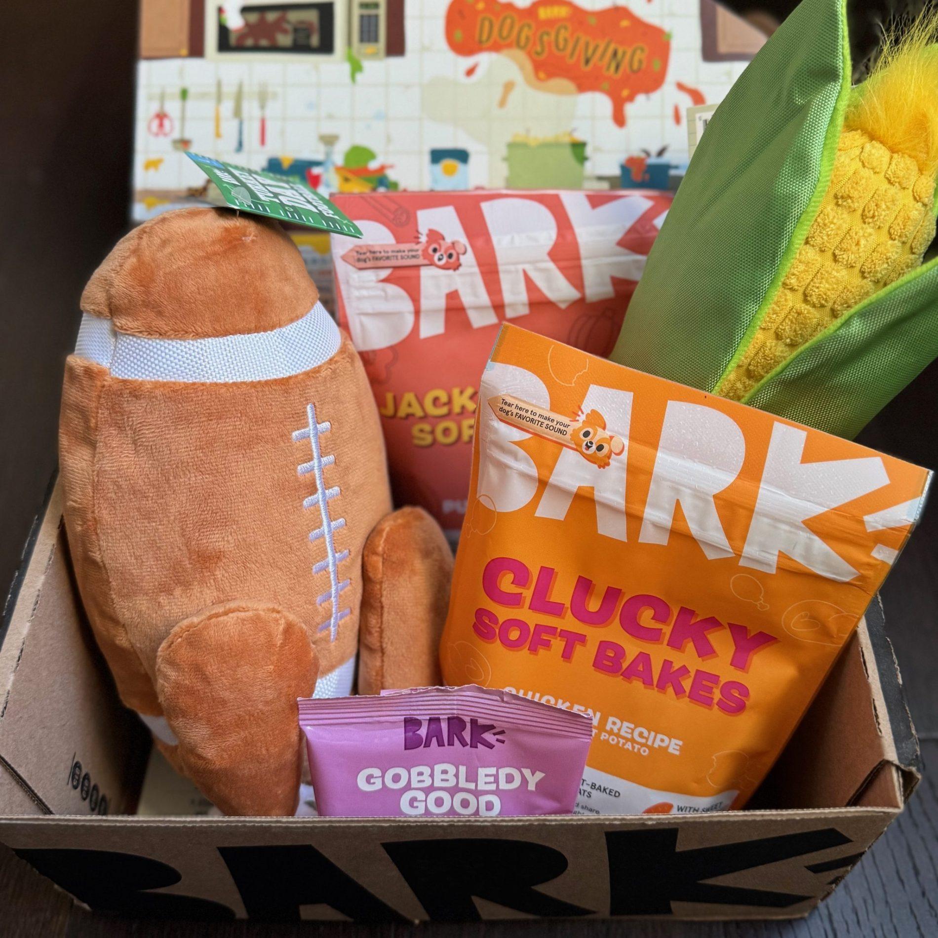 Read more about the article BarkBox Review + Coupon Code – November 2024