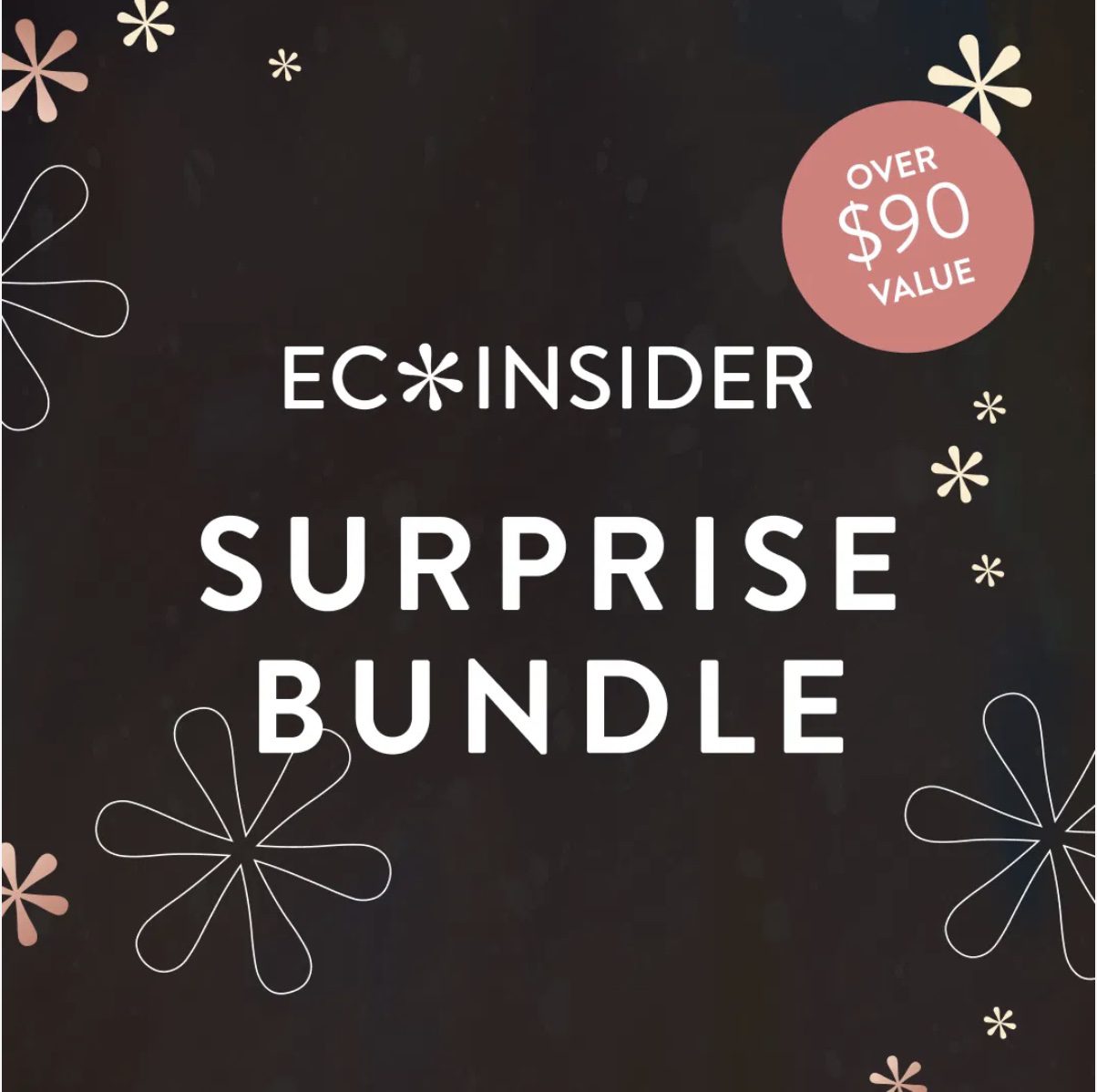 Read more about the article EC Insider Black Friday Surprise Bundle – Now Available