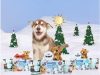 BARK Barkbox Holiday Rudolph the Red Nosed Reindeer Box – Available at Target