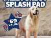 BarkBox Coupon Code: Free FUNBOY Splash Pad!