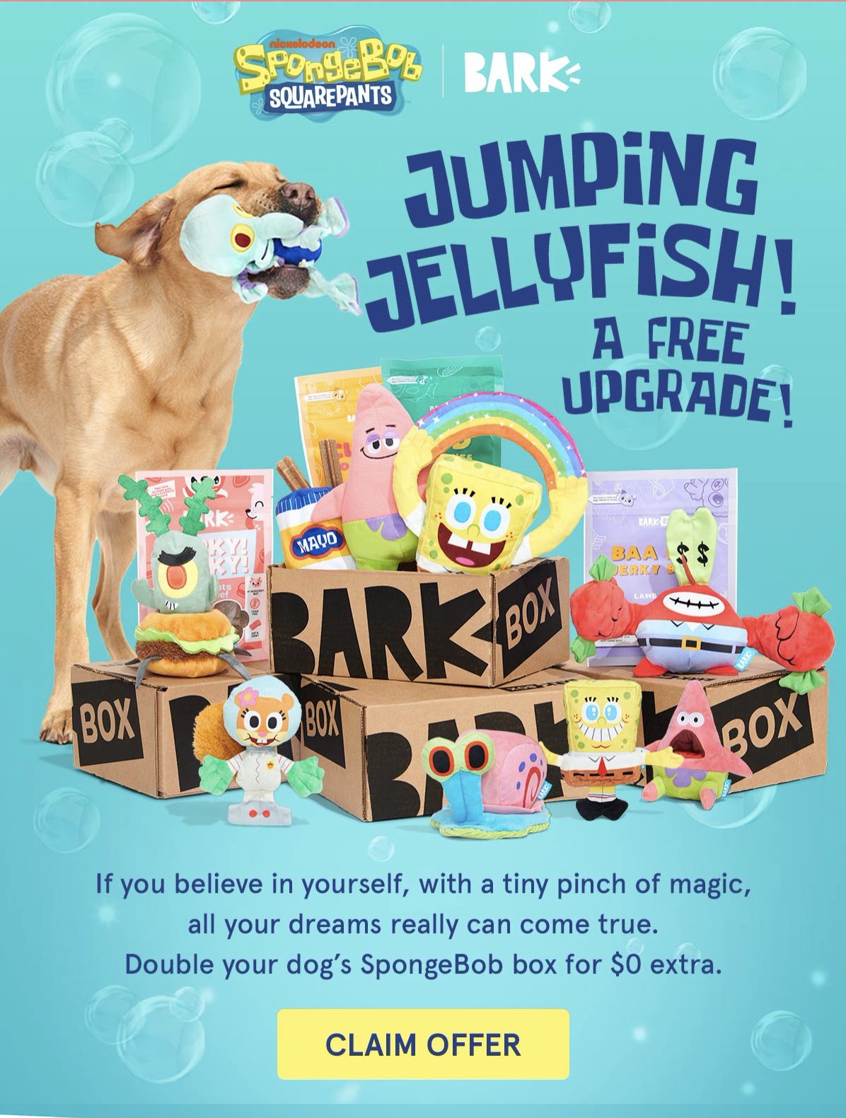 Read more about the article BarkBox Coupon Code – Double Your First SpongeBob Box Free!