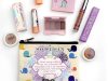 So Susan Color Curate September 2025 Full Spoilers!