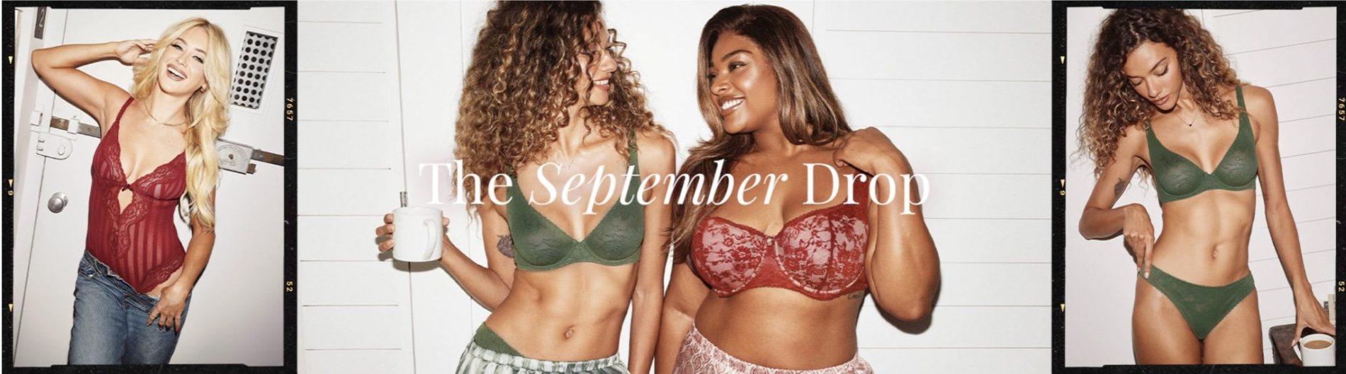 Read more about the article Adore Me October 2025 Selection Window Open + Coupon Code!