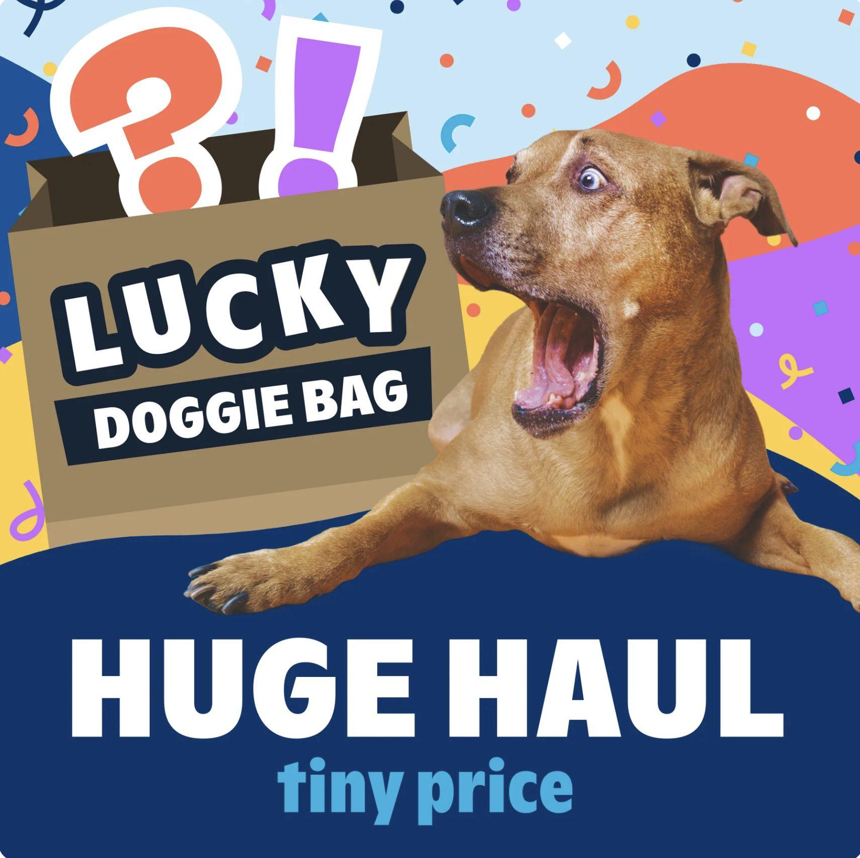 Read more about the article BarkBox Lucky Doggie Bag – a $100 Value for $35!