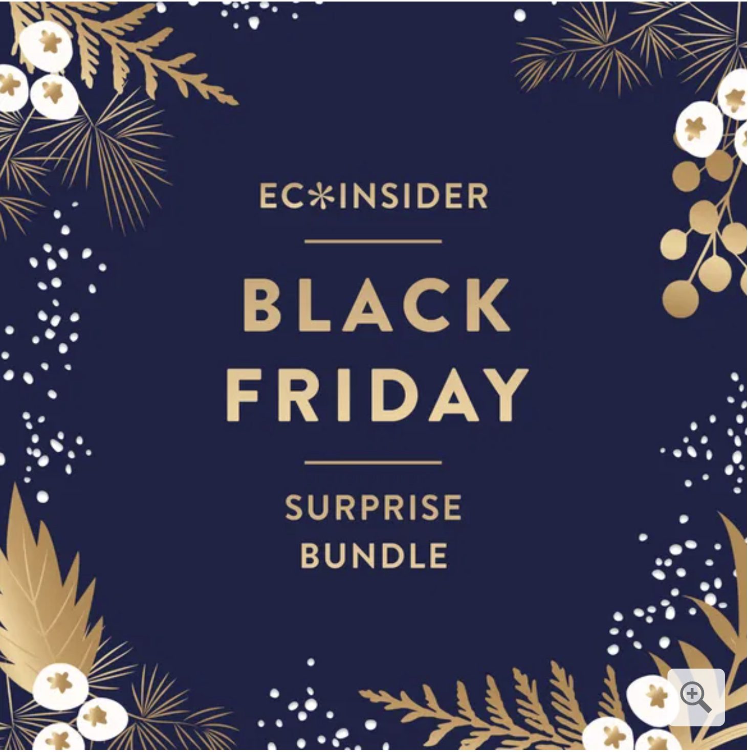 Read more about the article EC Insider Black Friday Surprise Bundle + 35% Off Black Friday Sale – Now Available