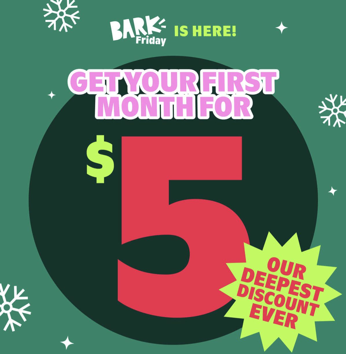 Read more about the article BarkBox Black Friday Coupon Code – First Box for $5